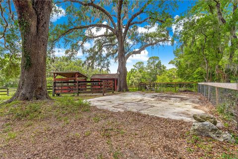 Tiny photo for 40 Wintergreen Way, Ocala, FL 34482 (MLS # OM703915)