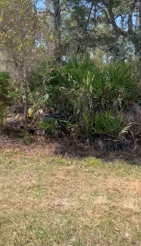 FOREST CAMPSITES ALTOONA FL 32702