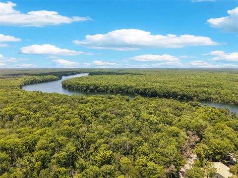 Tiny photo for 15471 NW 46th Lane, Chiefland, FL 32626 (MLS # TB8511038)
