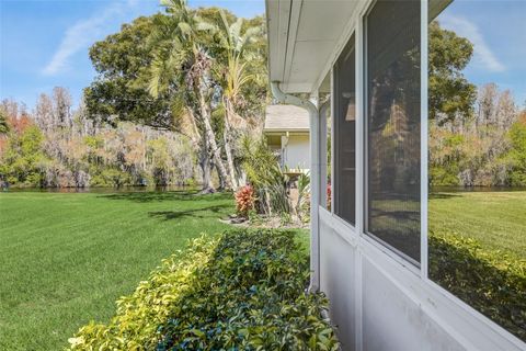 A home in SUN CITY CENTER