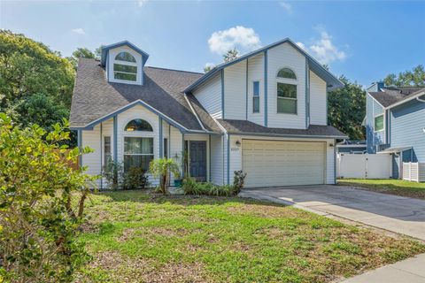 3237 MONTROSE CIRCLE PALM HARBOR FL 34684