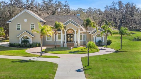 A home in LITHIA