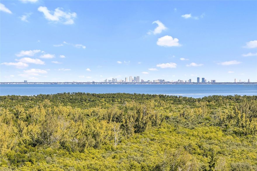 Million Dollar Views!! Welcome through the Gates of Mangrove Cay, a Resort Style Community with all the amenities you would expect in an upscale private community. Conveniently located between Tampa and St. Petersburg with easy access to I-275 and the Tampa and St Petersburg/Clearwater International Airports. To further enhance the Florida tropical outdoor experience, relax with friends and family while enjoying outdoor grilling, and relaxing in the heated pool and spa.  Covered parking is located under the building with plenty of overflow guest parking with elevators that lead you right to your floor. This stunning 1,600 sq ft condominium features beautiful Imported Italian Slate Tile throughout. Large sliding doors open to large balconies in the living area and the primary bedroom. Experience unobstructed views of a beautiful estuary full of nature and Tampa Bay. The efficient kitchen offers a very large space where there is ample space to create amazing foods and meals while offering plentiful space to connect and converse with guests. There are plenty of custom wood cabinets, great counterspace and a breakfast bar for quick meals and it provides an excellent kitchen layout for ease of entertainment in the living room, dining room and out on to the magnificent balcony. Enjoy meals in the dining area with 180-degree spectacular views – this is a must see to appreciate. The Primary Bedroom features sliding doors, large balcony, ensuite bath, walk-in closets and more. The large second bedroom has ample closet space. Make your appointment today!