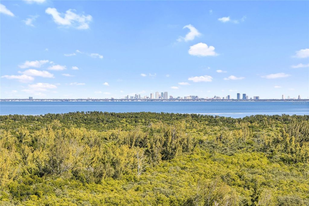 Photo of 10851 Mangrove Cay Lane NE #1112, St Petersburg, FL 33716 (MLS # TB8482796)