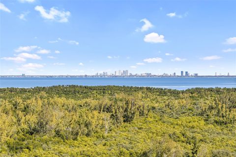 10851 MANGROVE CAY LANE NE 1112 ST PETERSBURG FL 33716