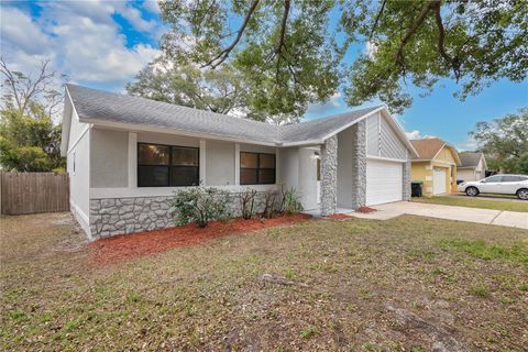 A home in ORLANDO