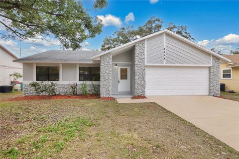 A home in ORLANDO