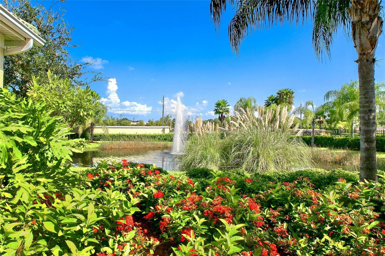 SERENADE ON PALMER RANCH - Residential