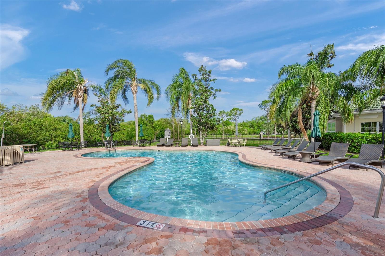 SERENADE ON PALMER RANCH - Residential