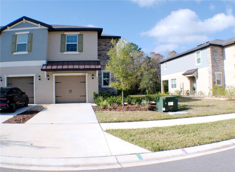 A home in LAND O LAKES