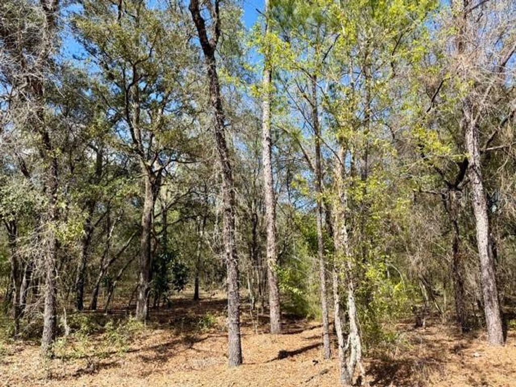 Photo of Tba SE 66th Place, Morriston, FL 32668 (MLS # OM719858)