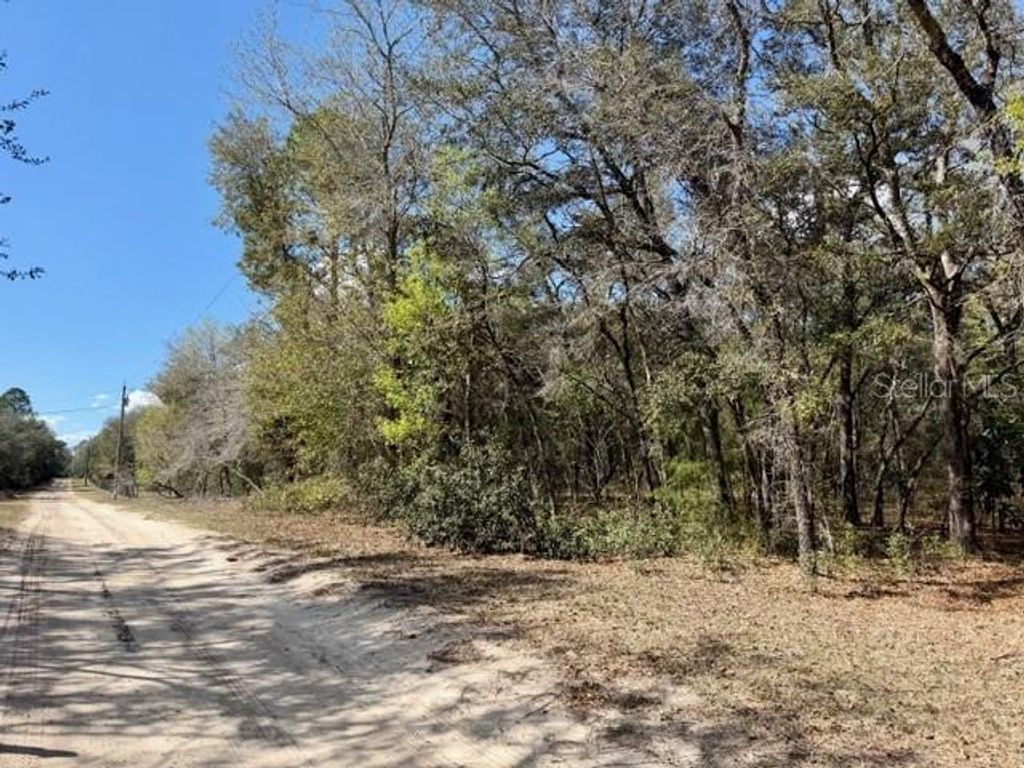 Photo of Tba SE 66th Place, Morriston, FL 32668 (MLS # OM719858)
