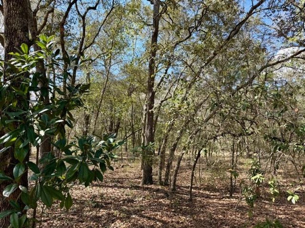 Photo of Tba SE 66th Place, Morriston, FL 32668 (MLS # OM719858)