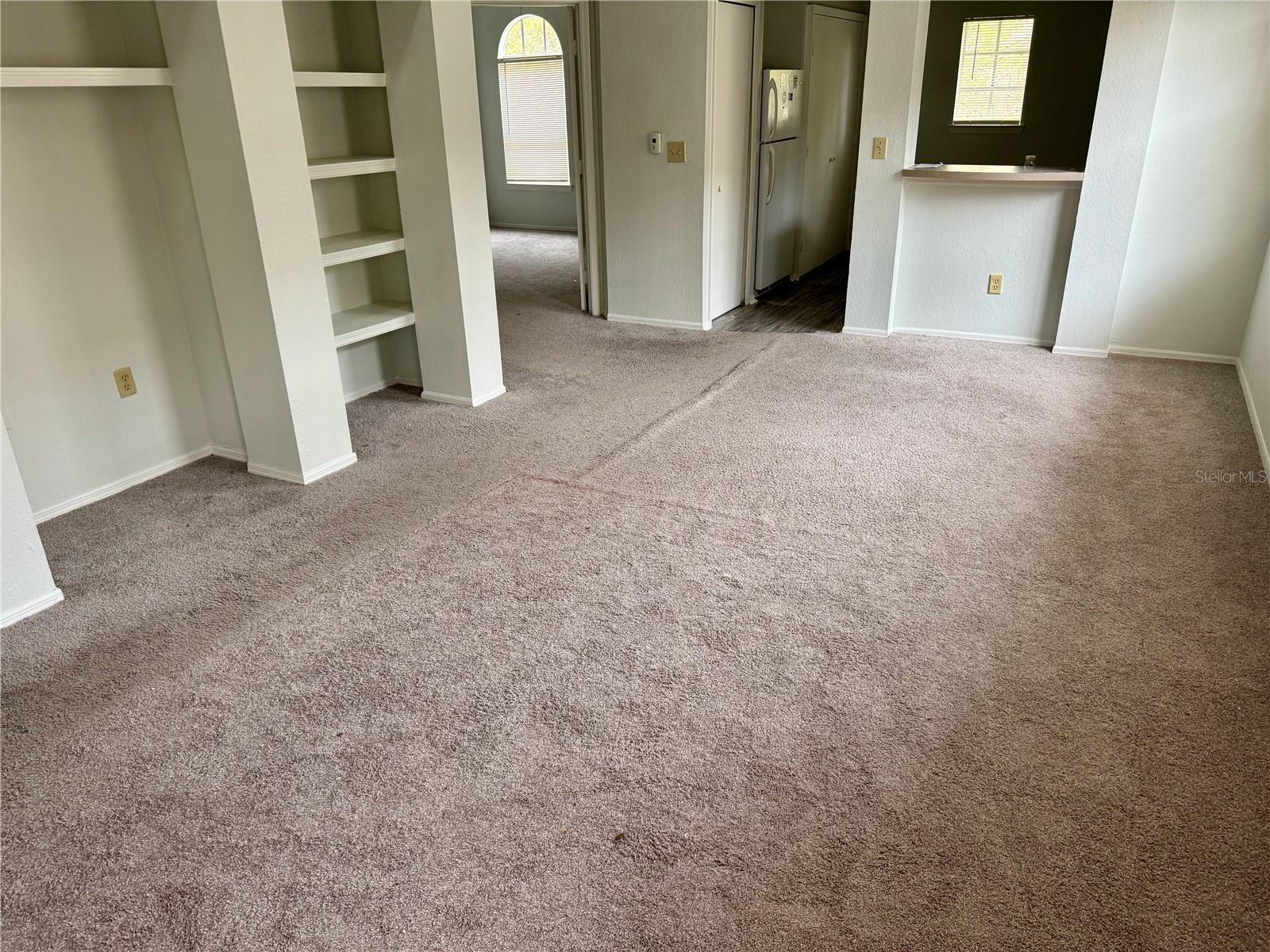 1341 ARBOR VISTA LOOP 317