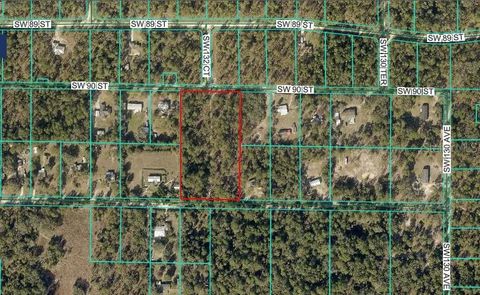 SW 90TH STREET DUNNELLON FL 34432