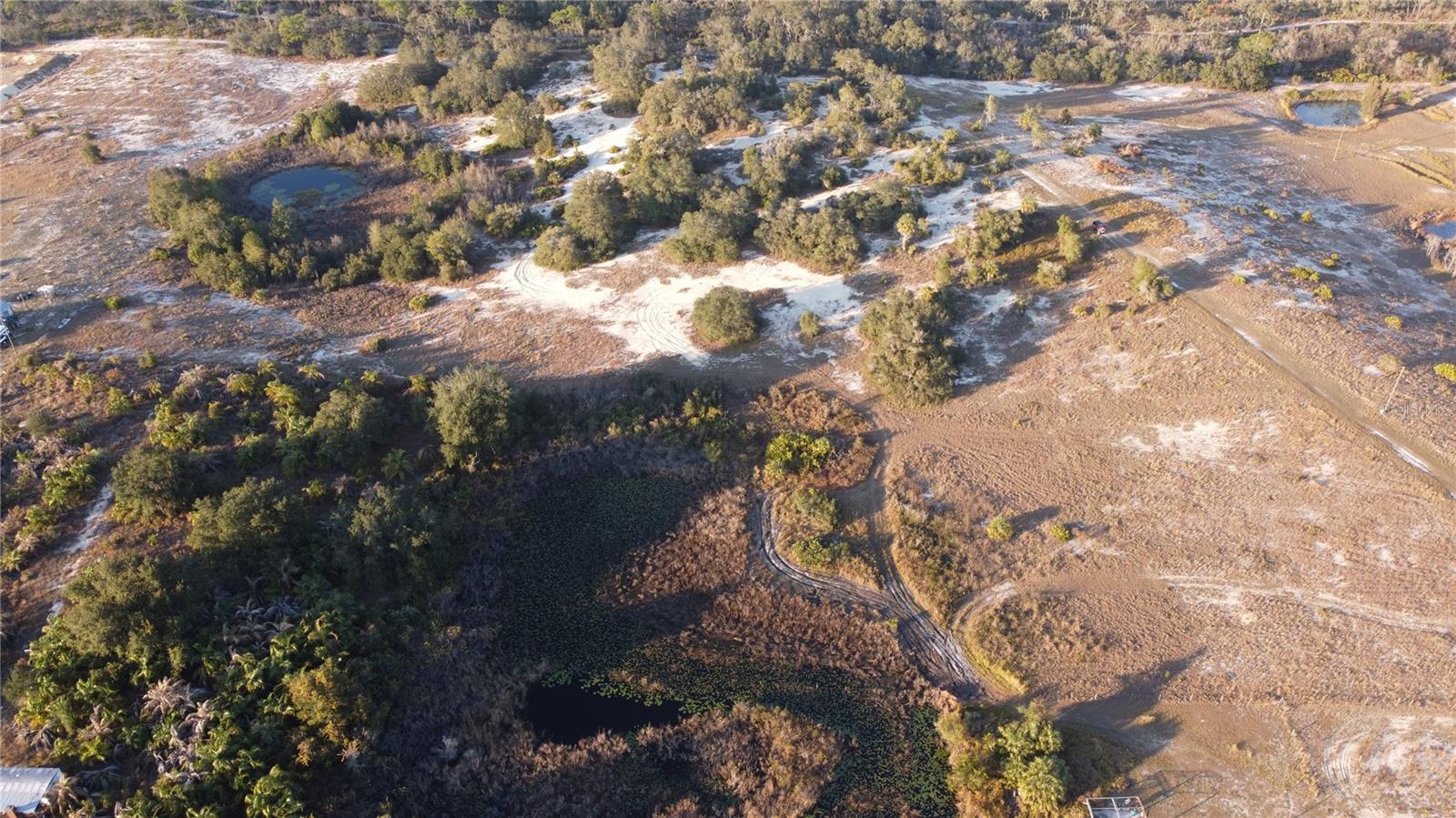 TIGER CREEK GROVES - Land