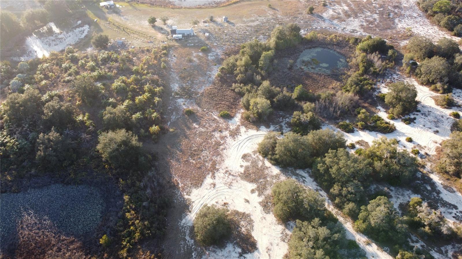 TIGER CREEK GROVES - Land