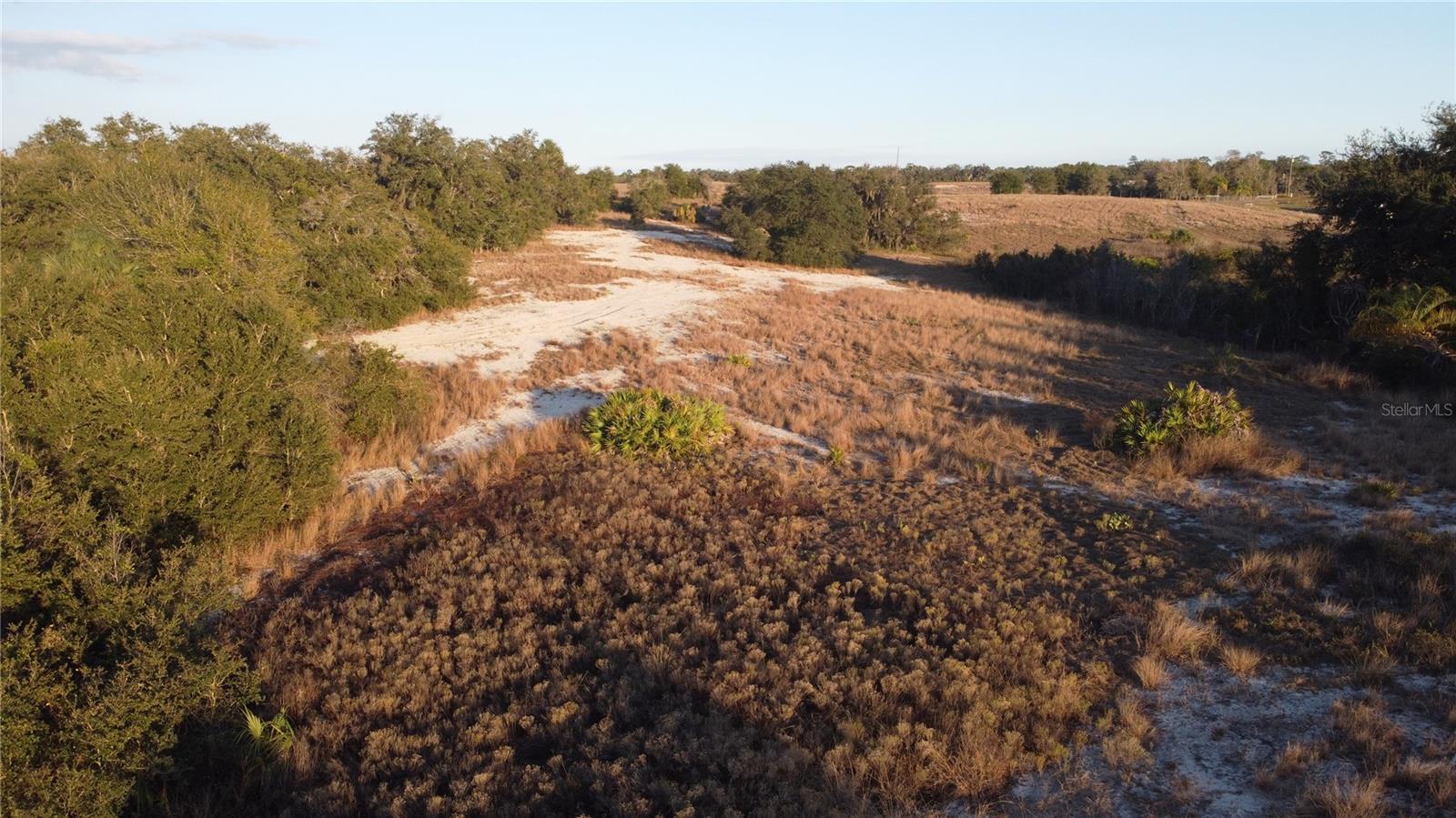 TIGER CREEK GROVES - Land