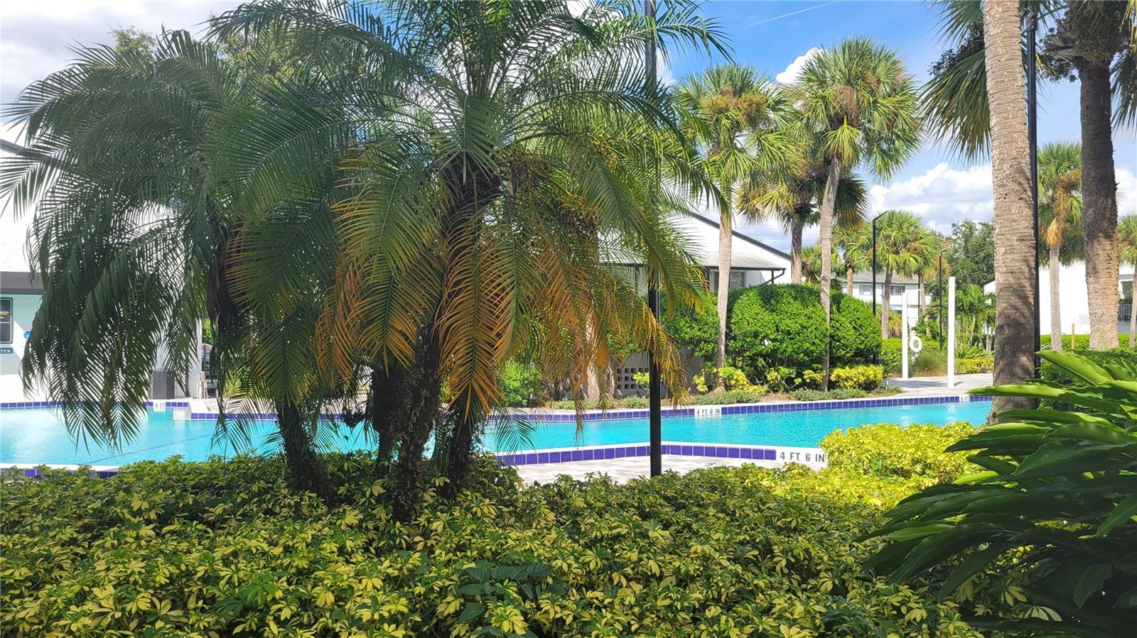 AVALION - Residential Lease