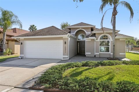 10211 OASIS PALM DRIVE TAMPA FL 33615