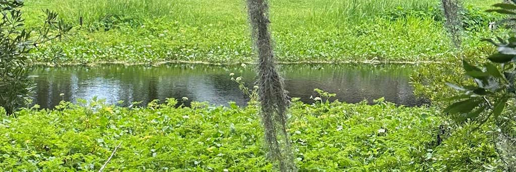 Photo of 000 SE 197th Place, Inglis, FL 34449 (MLS # OM725956)
