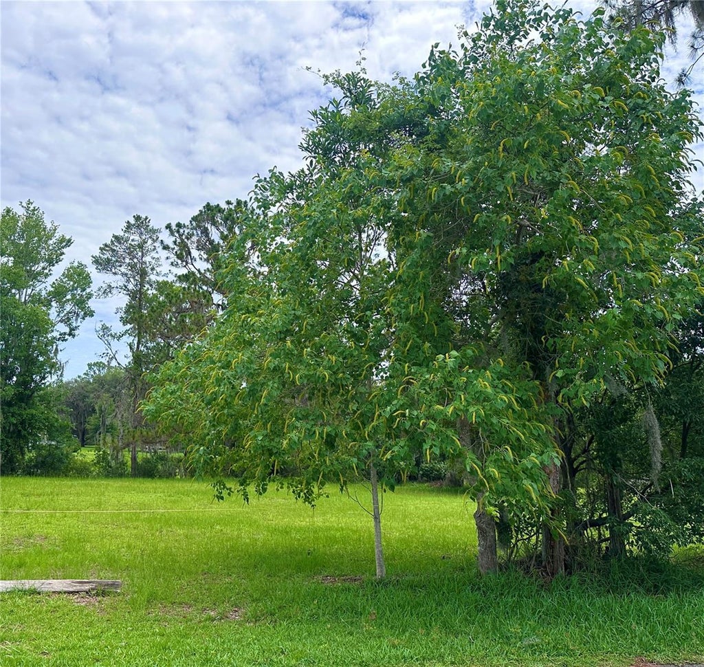 Photo of 000 SE 197th Place, Inglis, FL 34449 (MLS # OM725956)