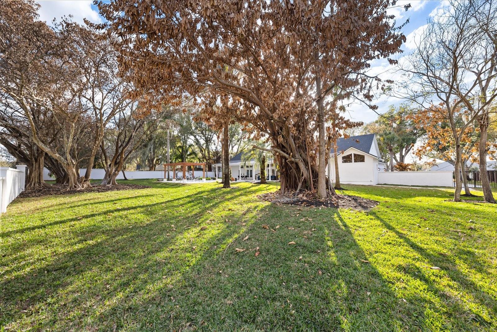 WINDERMERE OAKS - Residential