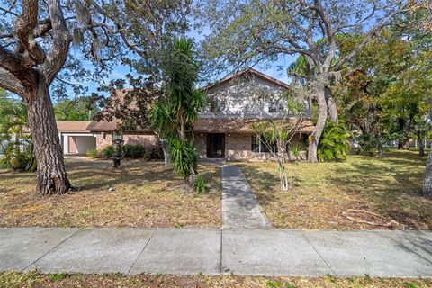 A home in TARPON SPRINGS