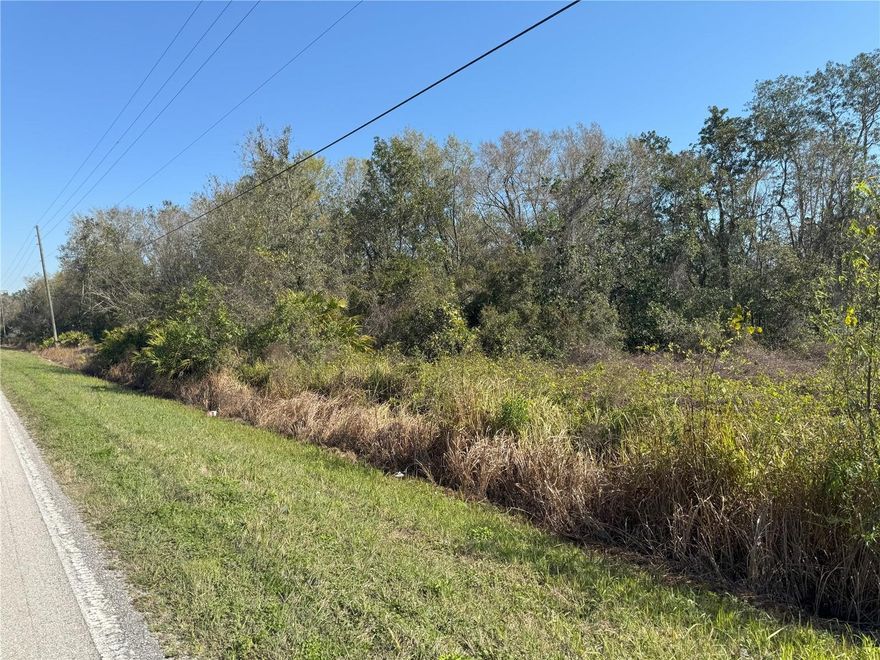 This is the perfect site to build your custom home and enjoy the peaceful country living, located in central Florida about 1.5 hrs. from either coast, it is approx. 26.74 acres, or Great opportunity for a developer with possible lot splits for development, Lot splits will have to be verified by Polk County. All information, measurements and sizes are deemed to be accurate but not guaranteed, any information contained here-in that is critical to buyers purchasing decisions, must be verified by the buyers. Any specific questions concerning permitting and zoning should be addressed to the Polk County Planning Department.