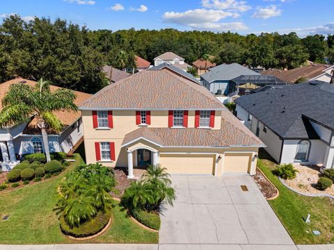 A home in LAND O LAKES