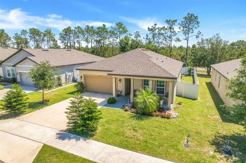 1096 ROBERTA ROAD LAKE WALES FL 33853