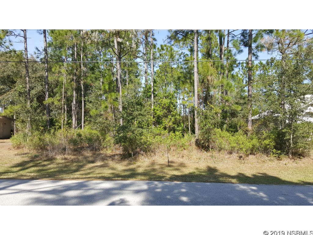 Palm Coast Sec 30 - Land