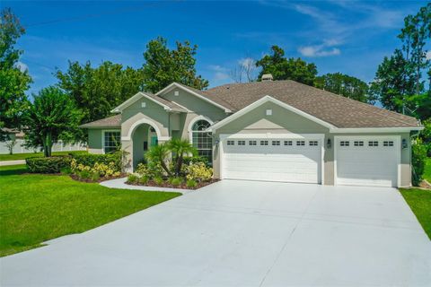 A home in PALM COAST