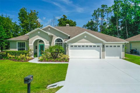 A home in PALM COAST