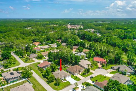 A home in PALM COAST