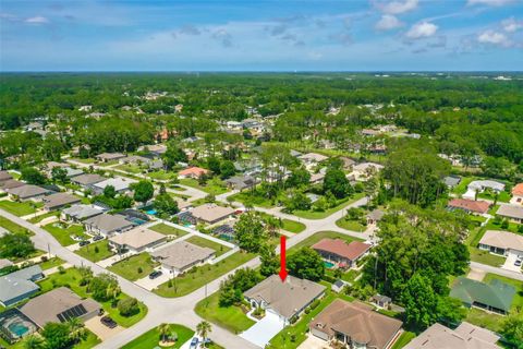 A home in PALM COAST