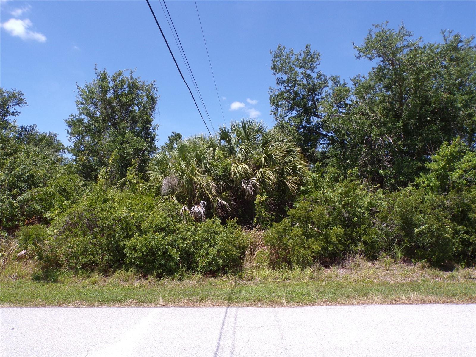 Listing image 4