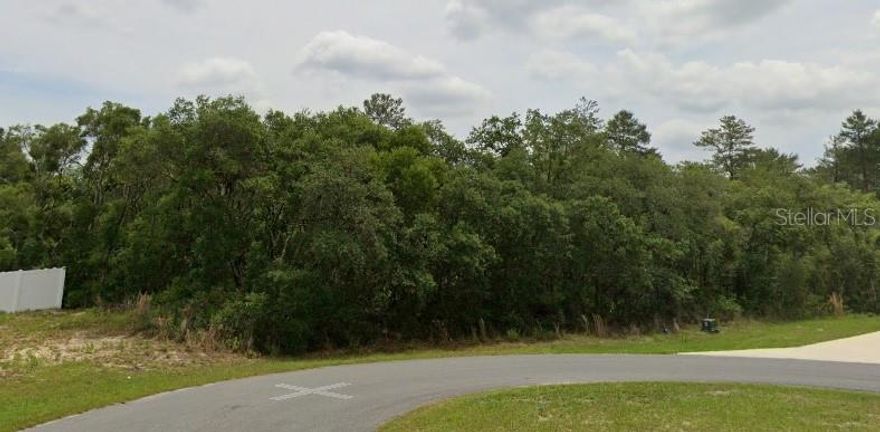 Build your vision on this expansive 1.05+ acre vacant lot in a quiet residential pocket of Ocala. Offering exceptional space and privacy, this oversized property provides the perfect canvas for a custom dream home or a high-potential investment build.

With no HOA and no CDD fees, enjoy lower holding costs and maximum flexibility in how you design, build, and use the property. Conveniently located near schools, shopping, and major roadways, the location strikes an ideal balance between peaceful living and everyday accessibility.

The area is welcoming to small pets, enhancing long-term rental appeal and broadening your tenant pool. This is a standout opportunity to secure a large piece of land in one of Ocala’s steadily growing residential areas.