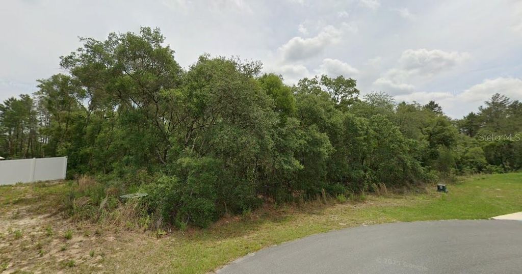 Photo of 0 SW 33 Avenue Road #Lot 43, Ocala, FL 34473 (MLS # O6400887)