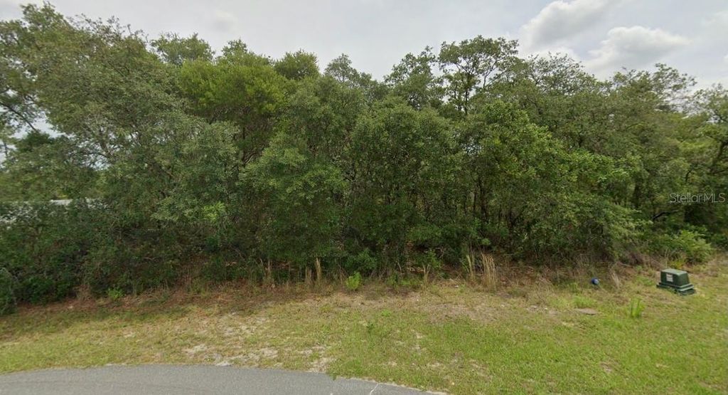 Photo of 0 SW 33 Avenue Road #Lot 43, Ocala, FL 34473 (MLS # O6400887)