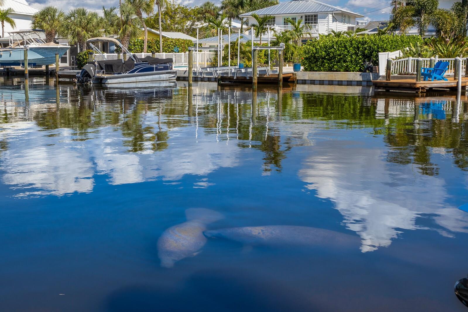 SPORTSMANS HARBOR REV - Residential