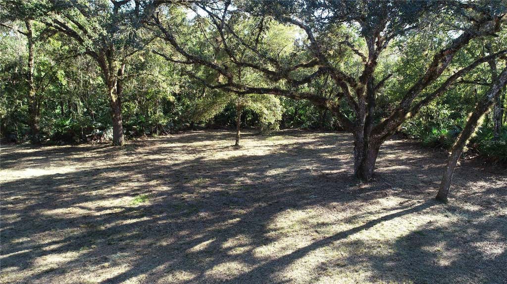 Photo of S County Road 13, Orlando, FL 32833 (MLS # O6435923)