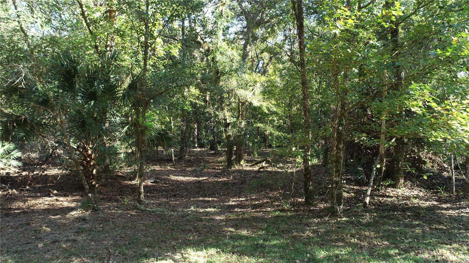 S COUNTY ROAD 13