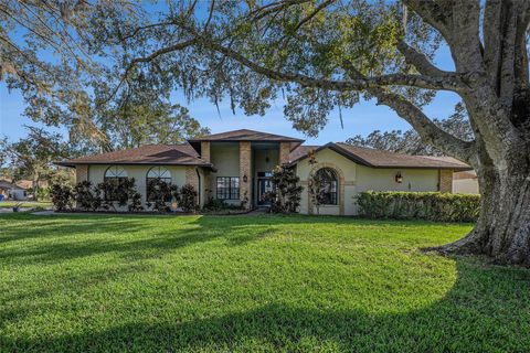 A home in RIVERVIEW