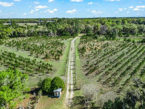 Tiny photo for 6350 NE 86th Avenue, Bronson, FL 32621 (MLS # OM721098)