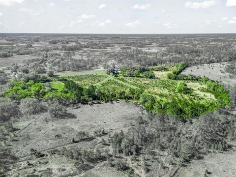 Tiny photo for 6350 NE 86th Avenue, Bronson, FL 32621 (MLS # OM721098)