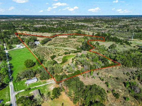 Tiny photo for 6350 NE 86th Avenue, Bronson, FL 32621 (MLS # OM721098)