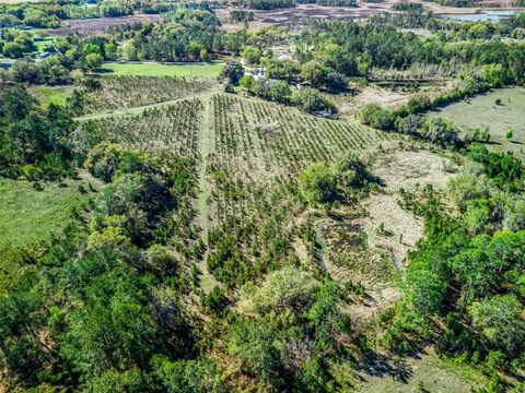 Tiny photo for 6350 NE 86th Avenue, Bronson, FL 32621 (MLS # OM721098)