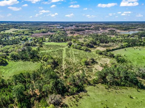 Tiny photo for 6350 NE 86th Avenue, Bronson, FL 32621 (MLS # OM721098)