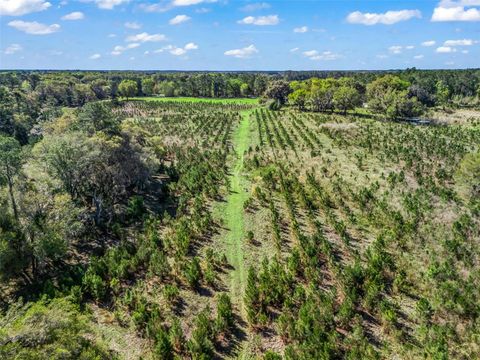 Tiny photo for 6350 NE 86th Avenue, Bronson, FL 32621 (MLS # OM721098)